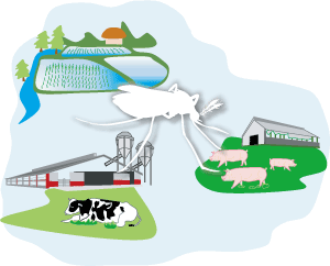 生息条件を水田や豚舎、牛舎を含む農村環境