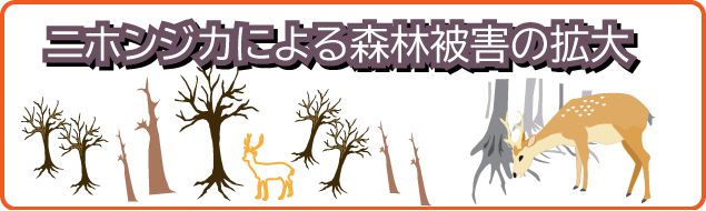 ニホンジカによる森林被害の拡大トップ